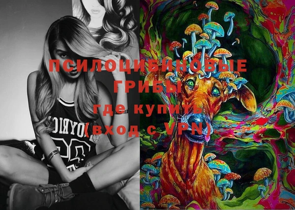 spice Алексин