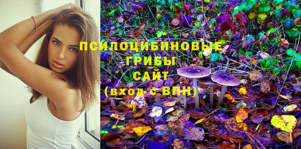 spice Алексин