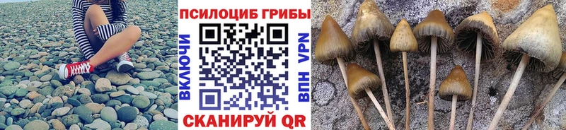 Галлюциногенные грибы мицелий  Туринск 